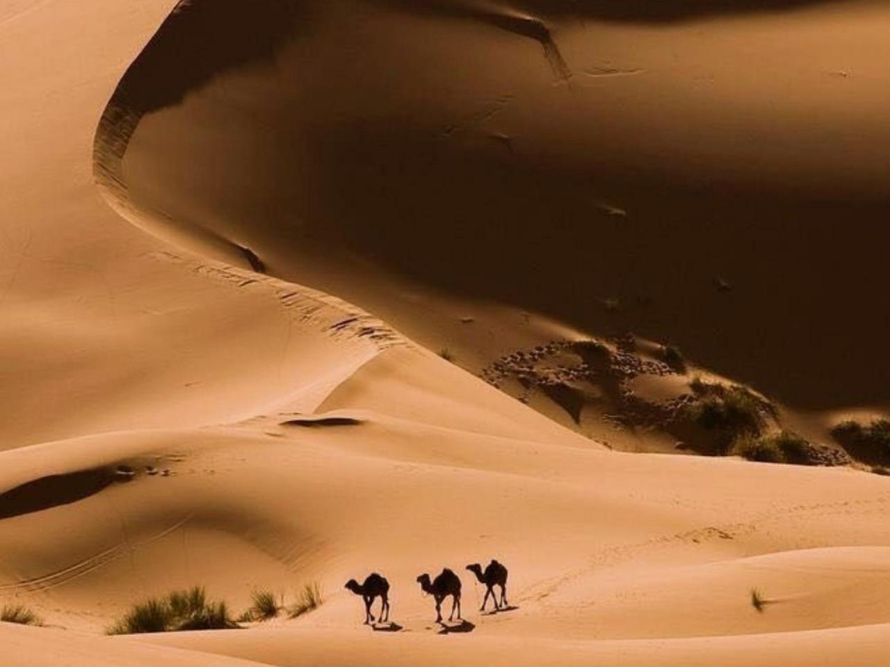 فندق Amazing Luxury Camp مرزوكة المظهر الخارجي الصورة