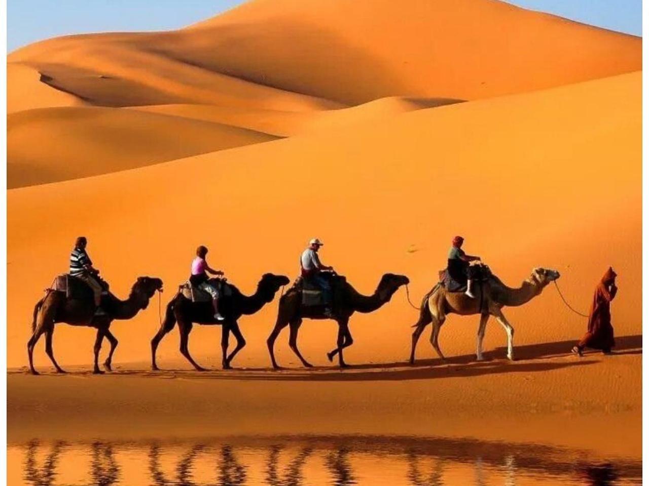 فندق Amazing Luxury Camp مرزوكة المظهر الخارجي الصورة
